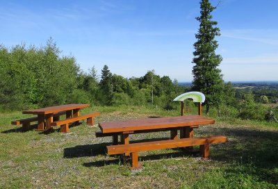 Circuit La forêt de Boubon