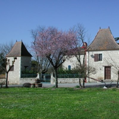 Saint-Léger, entre bois, vignes et vergers de pruniers