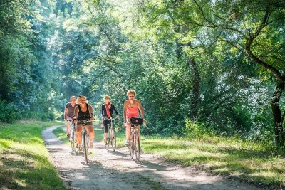 Boucle Vélo N°38 - La petite boucle des étangs