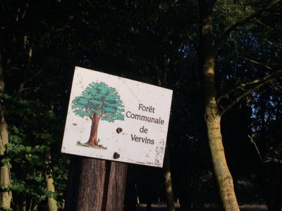 Arboretum de Vervins