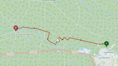 Circuit pédestre : Sentier des potiers Soufflenheim-Gros Chêne