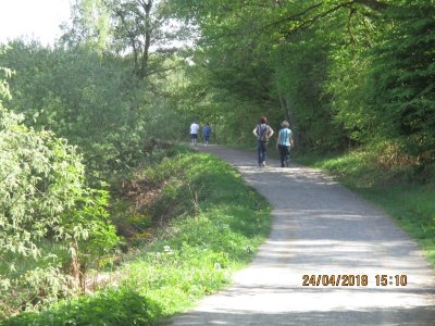 Le sentier des étangs