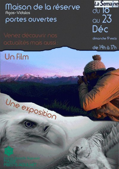 Randonnée observation des rapaces