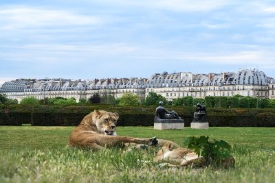 Exposition en plein air : Forces vives