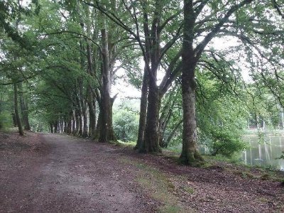Sentier de l'étang des landes