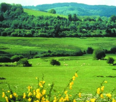 Circuit pédestre n°CM2 Du cap à l'Etroit