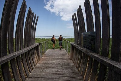 Balade à roulettes : Ville de Pauillac
