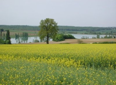Saint-Vincent-de-Lamontjoie, balade vers le lac de Lambronne