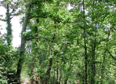 Dondas, balade dans les coteaux du Pays de Serres