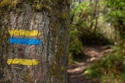 Circuit "Le petit tour"