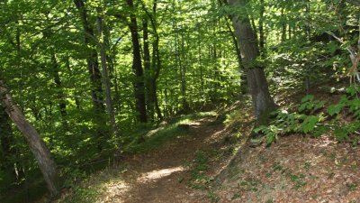 Circuit du chalet Sattelboden