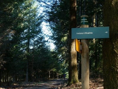 Circuit de la Barbarandière