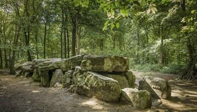 Forêt Domaniale du Mesnil