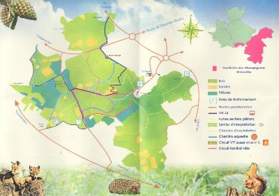 Forêt de Lann-ar-Waremm