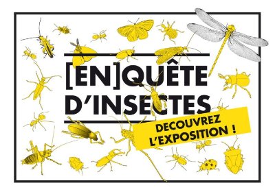 Exposition "Sculptures branchées, au bois des Trognes " Dominique Mansion