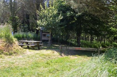 Le bois de Saint-Ronan