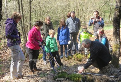 Le Coteau du Bambois