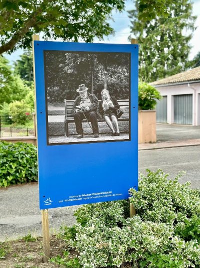 Sur les sentiers du Sud Bourgogne - De Tournus à Lugny