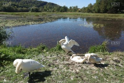 Vallon de bellefontaine