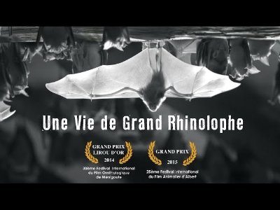 Le Val d'Azé, entre vignes et bocages