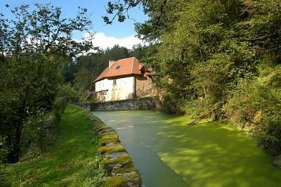 Circuit du château de Lavauguyon