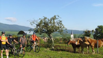 Circuit de VTT: Circuit des Cigognes