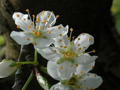 Saint-Germain, aux portes de Villeneuve-sur-lot