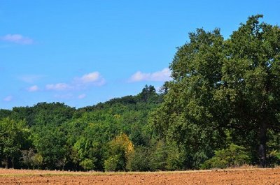 Saint-Caprais-de-Lerm, dans les coteaux de l'Agenais