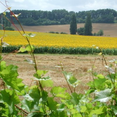 Montaut, la balade du prieuré