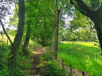 Le tòs de la Courade