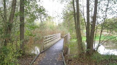 Zone humide de Chaourse