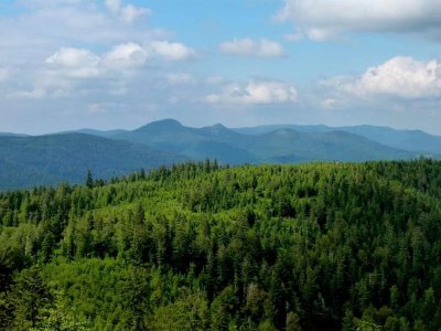 Circuit rando B15 : Du Rocher de Mutzig aux deux Donons