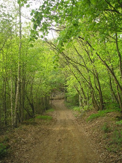 Le Marais et la Grande Prairie