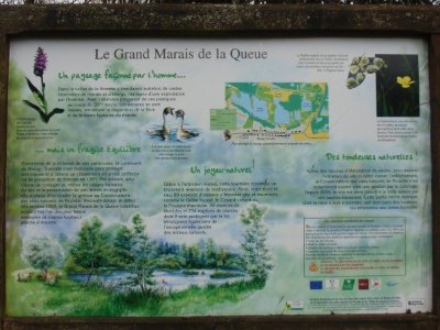 Marais de la Queue à Blangy
