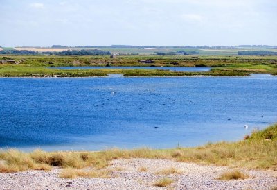 Hâble d'Ault et sa Réserve Ornithologique