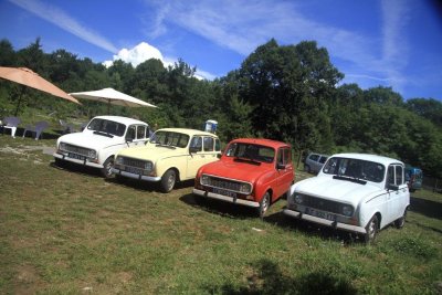 Auto rétro des sapins