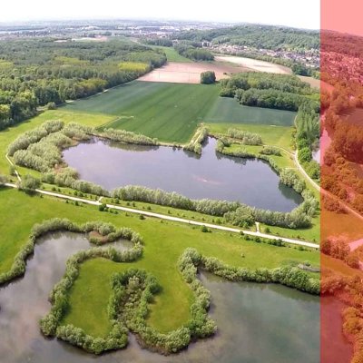 Les étangs du Plessis Brion