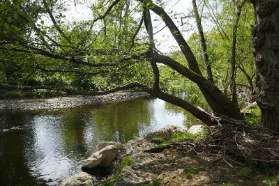 Geüs d'Arzacq : le Luy de Béarn