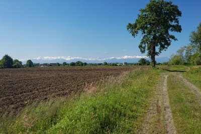 Sauvagnon : dans la plaine du Pont Long