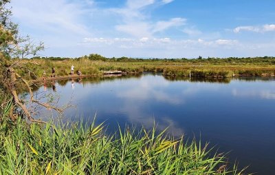 RANDONNEE LE TOUR DES VERDISSES