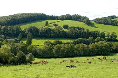 Sentier des gorges de la Vienne