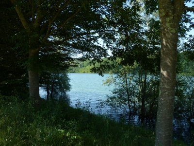 Navailles-Angos : tour du lac du Balaing (petite boucle)