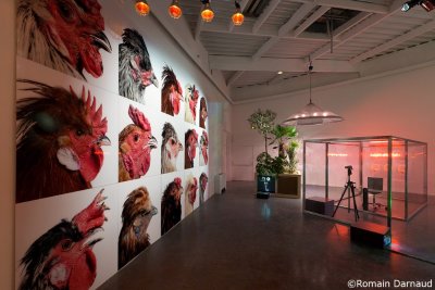 Centre d'Art Contemporain Rurart