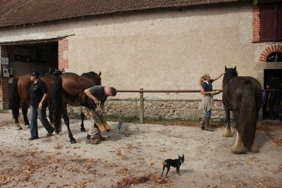 Les écuries de la côtes