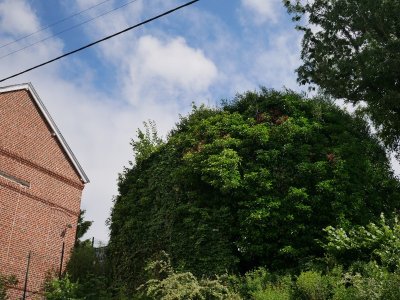Motte féodale et tour