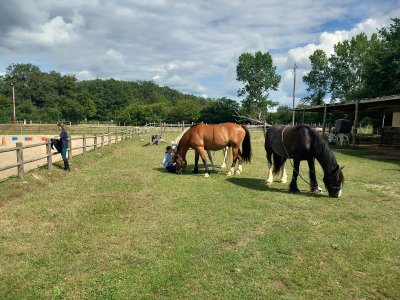 Centre équestre "Les Chevaux de la Rosière"