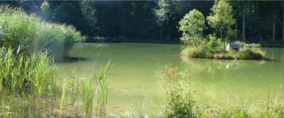 Pêche au plan d'eau des bruyères