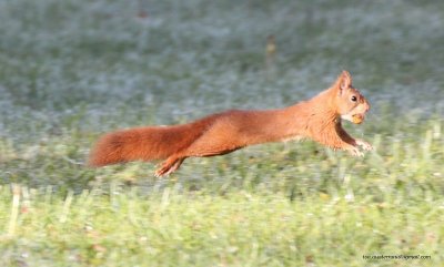 Nature au Coeur - Sorties et animations nature