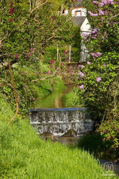 la Cyclo Bohème (V49)