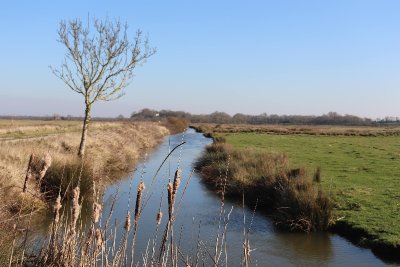 Parcours pédestre : L'île du Liron